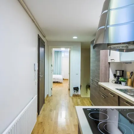 Elegant 2 Bedroom Duplex House With Garden In Cihangir Apartamento Estambul